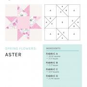 large_mbs-spring-flowers_aster_page_1.jpg