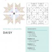 mbs-spring-flowers_daisy printer friendly